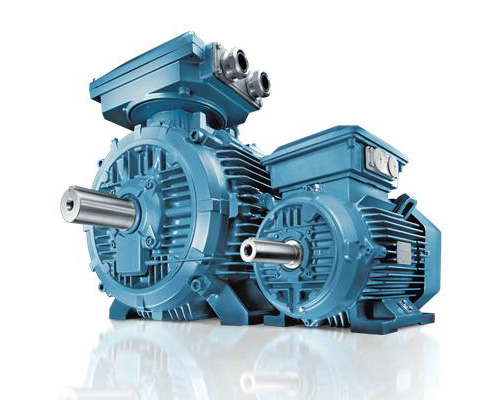 Low Voltage Motors